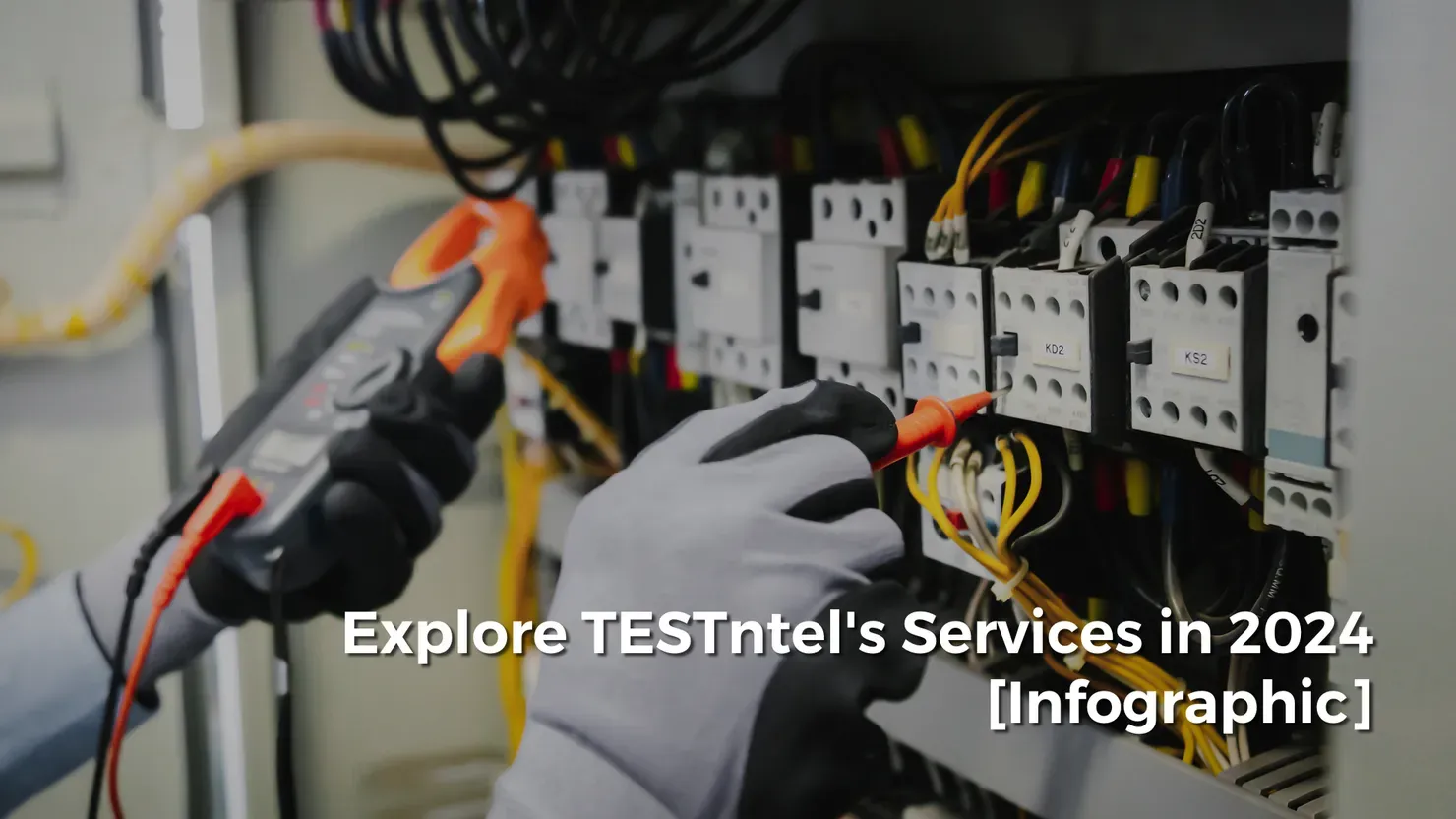 TESTntel Service List