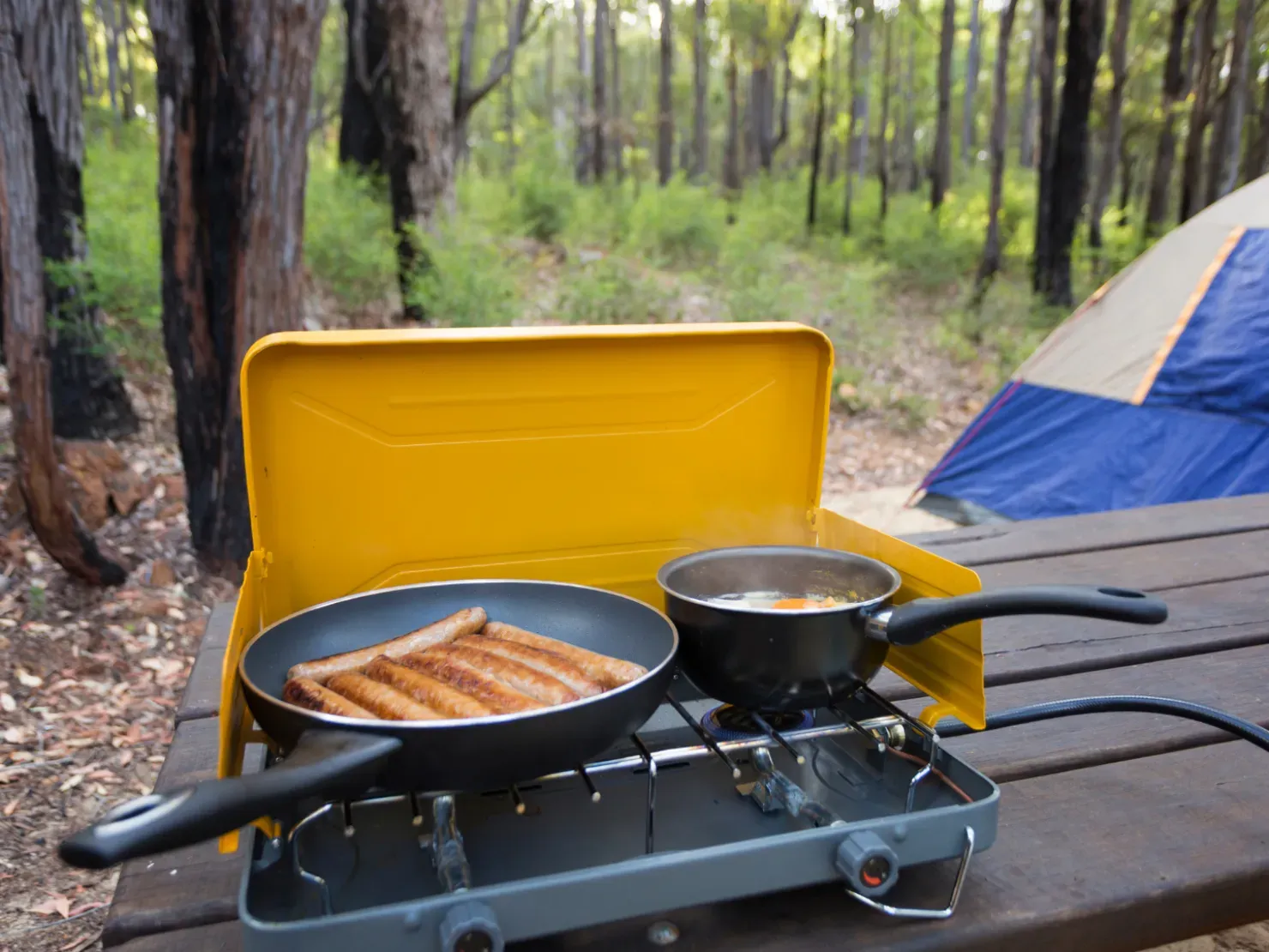 Outdoor Cooking and Electrical Appliances